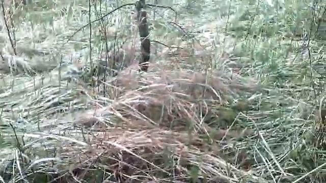 Уж? Нет, Гадюка! смотреть онлайн