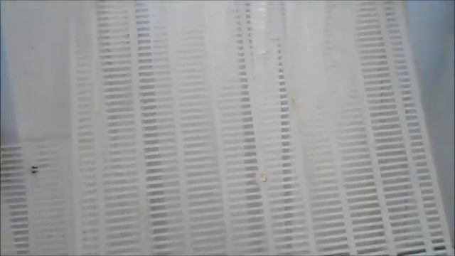 Чищу разделительные решётки . смотреть онлайн