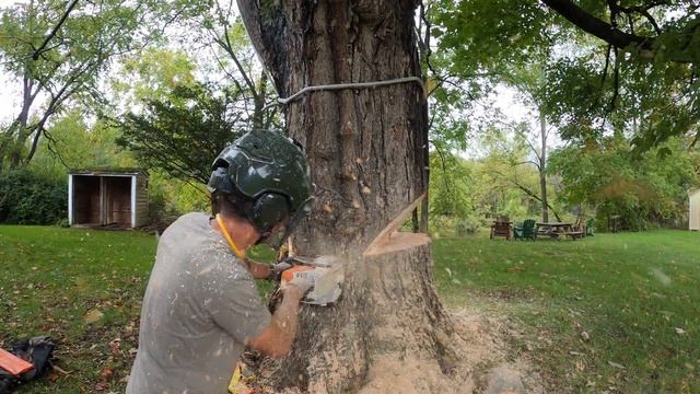 6 Day Job - Solo Tree Work from Felling to Hauling смотреть онлайн