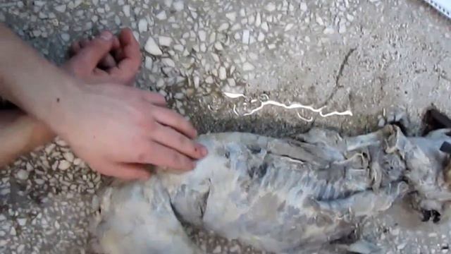 грудная клетка 2 смотреть онлайн