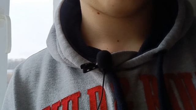 ДЕШЕВАЯ ПЕТЛИЧКА С АЛИЕКСПРЕС / БЮДЖЕТНАЯ ПЕТЛИЧКА смотреть онлайн