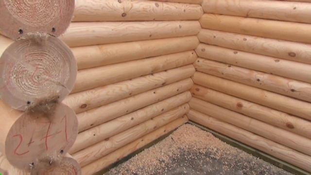 Сруб бани 4.8х6.8м. "Подсолнухи". Цена в СПб 138,774 руб смотреть онлайн