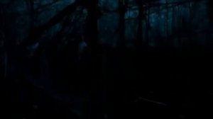 Сделай шаг навстречу мне