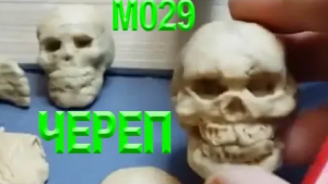 Быстрая лепка из пластилина. Лепка черепа человека. Скелет