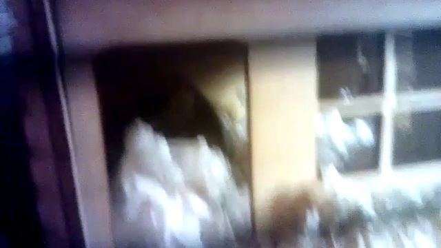 Что делает Джесси в 11 часов вечера?...