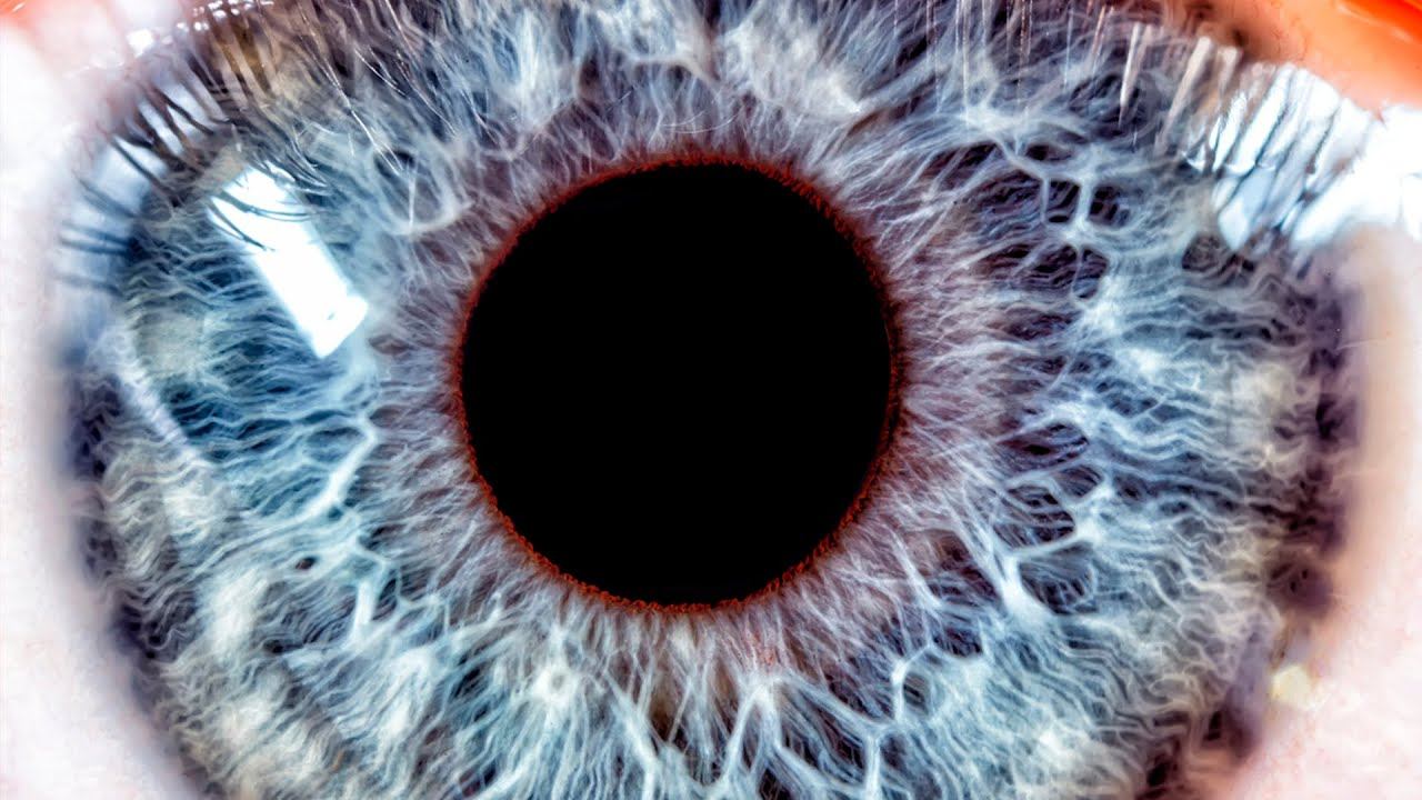 ЧЁРНАЯ ДЫРА - ПОРТАЛ В ИНЫЕ МИРЫ. Почему даже у сверхмассивных чёрных дыр нет никакой массы? смотреть онлайн