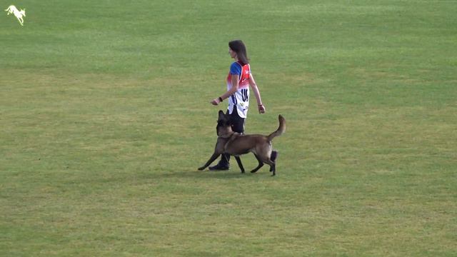 30. FCI World Championship IGP 2022 - IGP World Cup // Winner // IGP