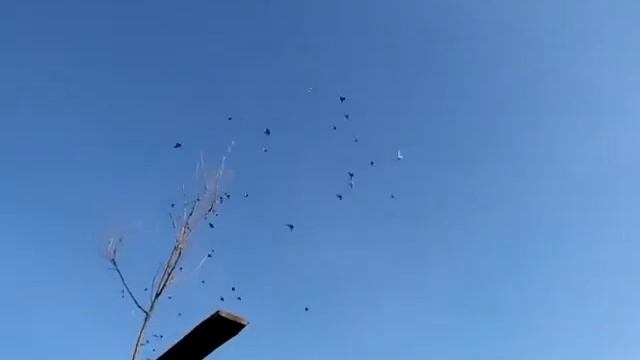 25 Августа 2019 г. СВ. смотреть онлайн