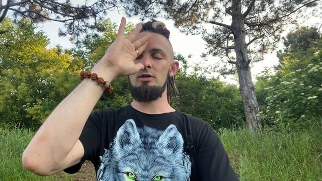 Чаша Исиды. Пранаяма Нади Шодхана смотреть онлайн