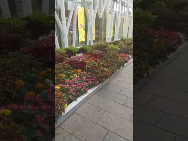 30 августа 2022 г. смотреть онлайн