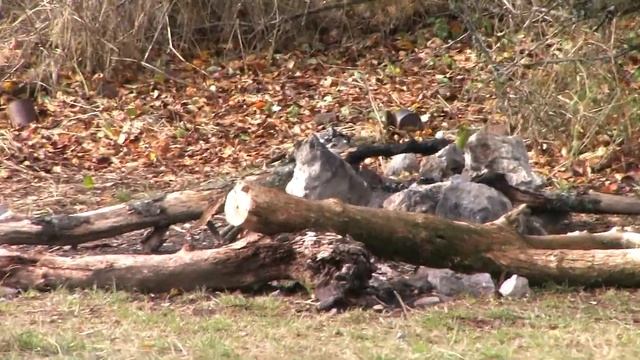 Крым. Перевал Каллистон-Богаз. 21 октября 2011г. смотреть онлайн