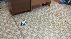Top Race Smart Robot. Поиграл.