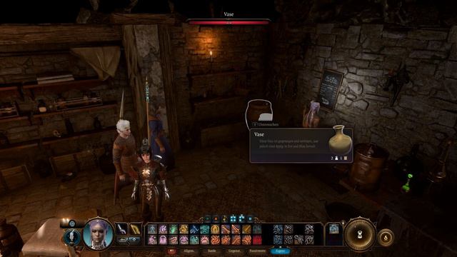 Baldurs Gate 3 Early Access (Solo-Patch 8) Folge 12: Ein zerstörtes Dorf смотреть онлайн