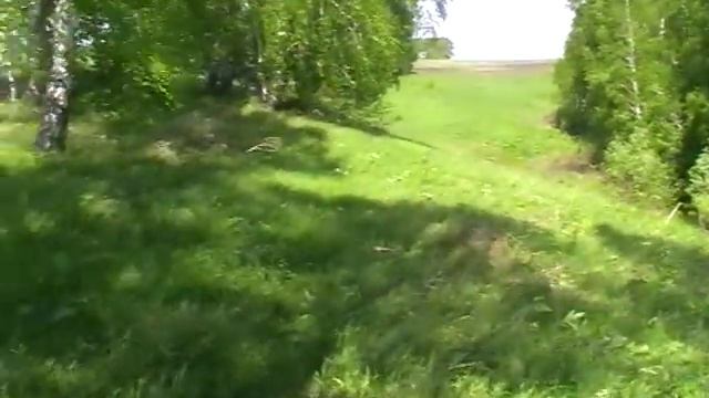 Магия гербария смотреть онлайн