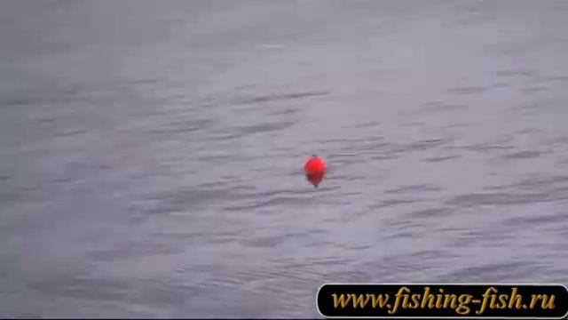 Видеотчет о небольшой поездке на рыбалку. Fishing. смотреть онлайн