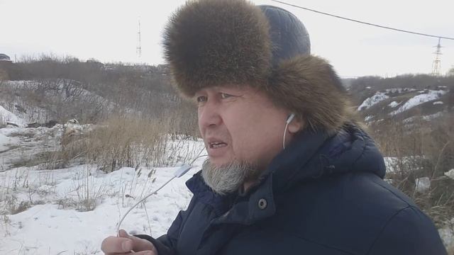 Почему КАЗАХИ считают СЕБЯ потомками ВОЛКОВ? Почему ВОЛКИ ВОЮТ на ЛУНУ? "КОК БОРИ УРПАКТАРЫ"? смотреть онлайн