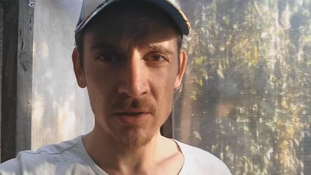 БЛОХИ В ОГОРОДЕ. КАК ВЫВЕСТИ? смотреть онлайн