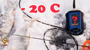 Практик 8. Первый тест в -20 С. Плотва на безмотылку.