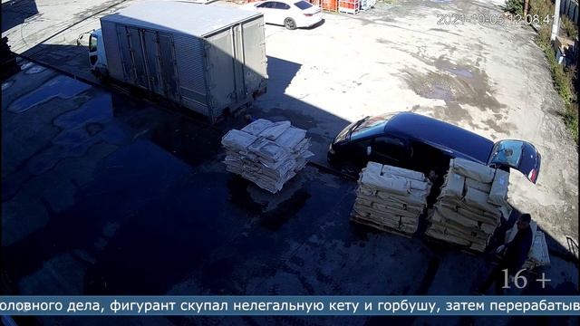 01.04.2022 Предприниматель в суде ответит за торговлю немаркированной рыбной продукцией смотреть онлайн