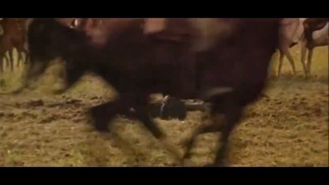 По волчьему следу 1976 Бой котовцев с антоновцами смотреть онлайн