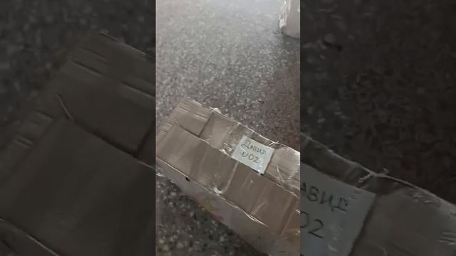 Доставка любых цветов из Армении в Россию ?✅ смотреть онлайн