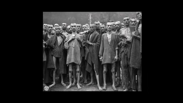 Обзор на... графический роман смотреть онлайн