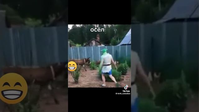 Осел осел 😂 смотреть онлайн