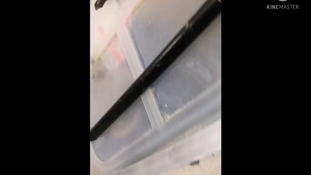 Светильник потолочный из точечных GX53 своими руками