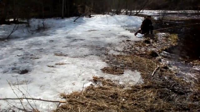 Ленинградская обл. рыбалка. Жор крупного леща весной на омутах. смотреть онлайн