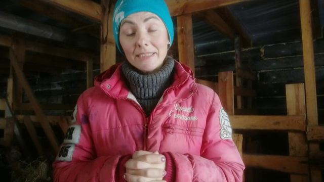 По комментариям к ,, ужасному видео "про окот на улице. Благодарю подписчиков и зрителей смотреть онлайн