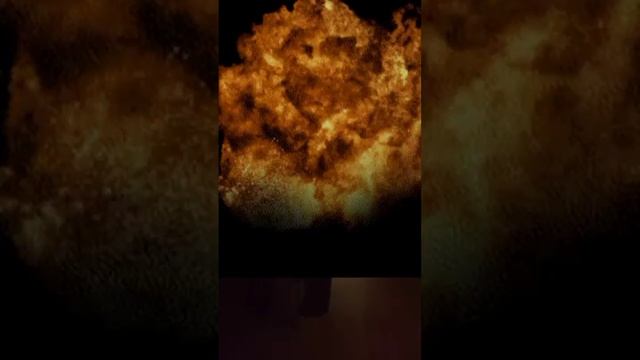 шаурма из кота! как правильно готовить! смотреть онлайн