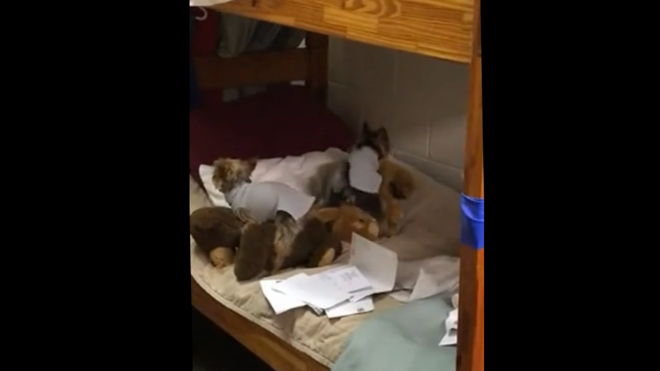 Гусары, по коням! смотреть онлайн