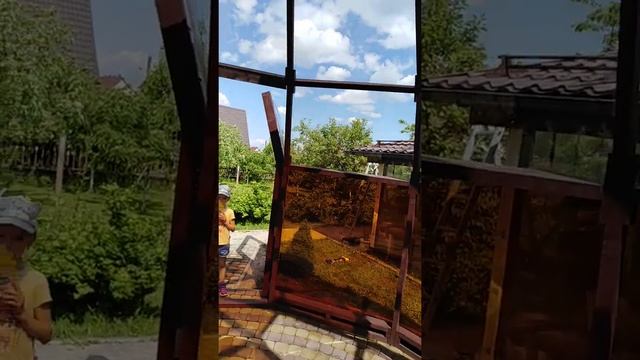 Купольный навес МК_5 для бассейна (автор Мищенко А.С)