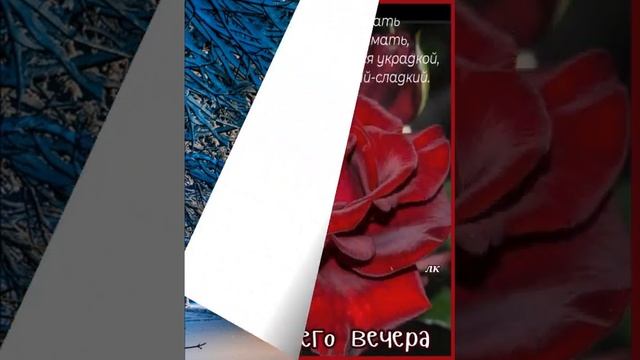 ДОБРОГО ЗИМНЕГО ВЕЧЕРОЧКА, Красивые иллюстрации и пожелания, музыка Сергея Чекалина "Зимний вечер" смотреть онлайн