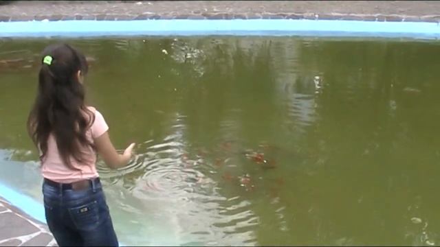 Загадай 3 желания золотой рыбке. Донецк 2019г смотреть онлайн