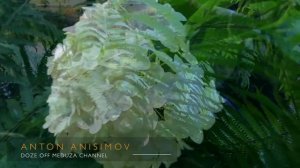 Спокойная Музыка Для Снятия Стресса  - RELAXING PIANO - Music - Белый Шум _ Stress Relief Music