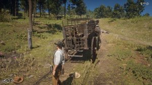 RDR - 2 Стрельба и драки