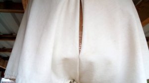 Голос самки перепела обыкновенного (бедана).  The voice of a common quail female (bedan).