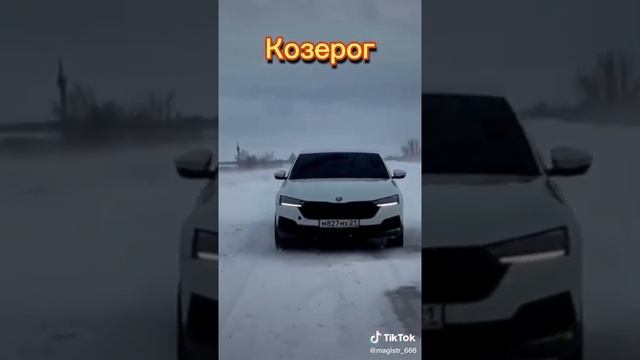 знак зодиака скорпион стрелец козерог Водолей рыбы и так далее смотреть онлайн