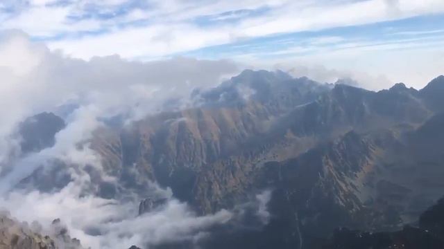 Альпинисты поднялись на вершину самой высокой горы Польши и встретили там кота высота ~2500 метров смотреть онлайн