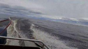 лодка вельбот 45 мотор ямаха 40 2т