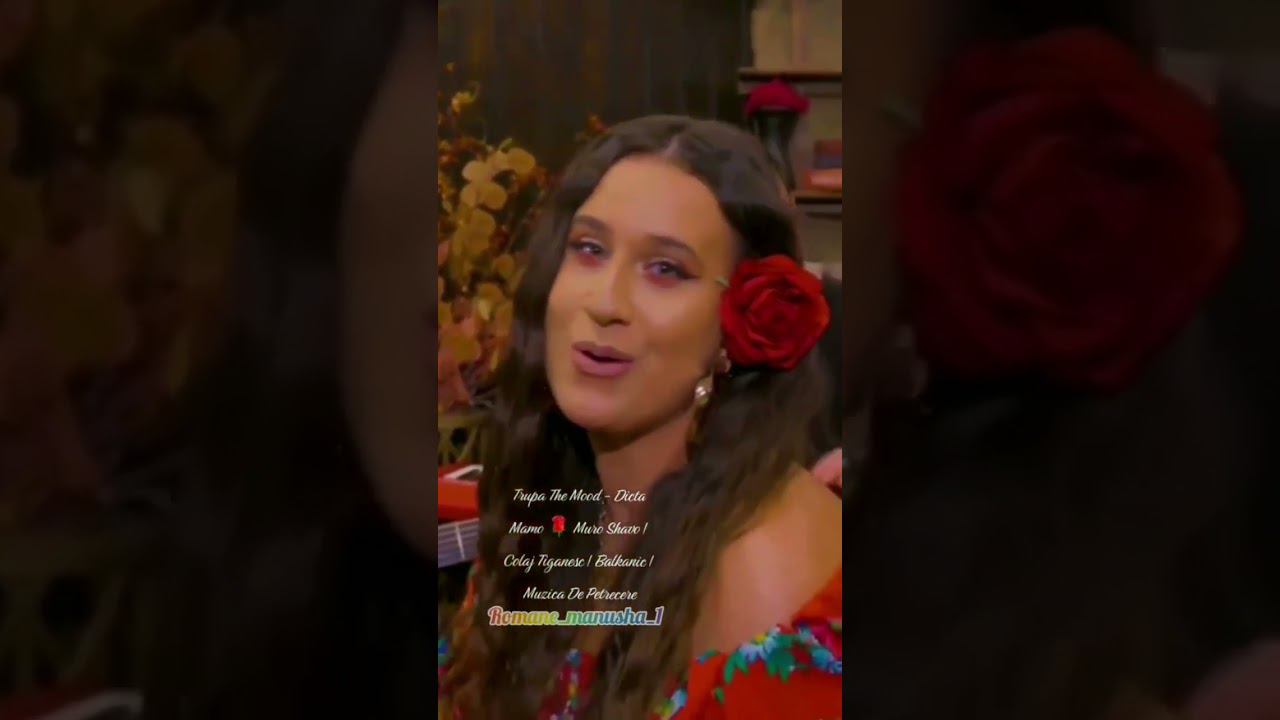 trupa the mood dicta mamo #цыганскиепесни #музыка #romanegilya #бахталэрома #shorts #youtube смотреть онлайн