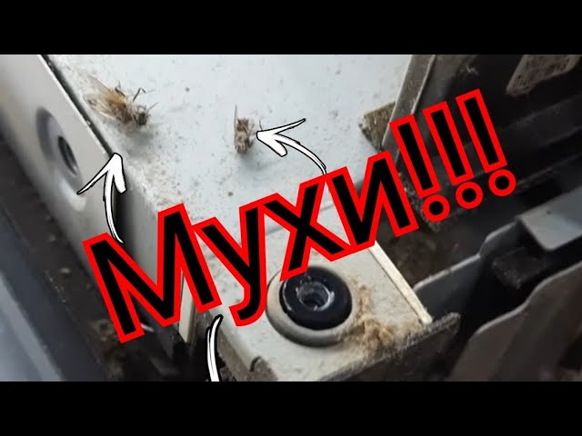 Почему нужно чистить технику от пыли, ТРЕШ!