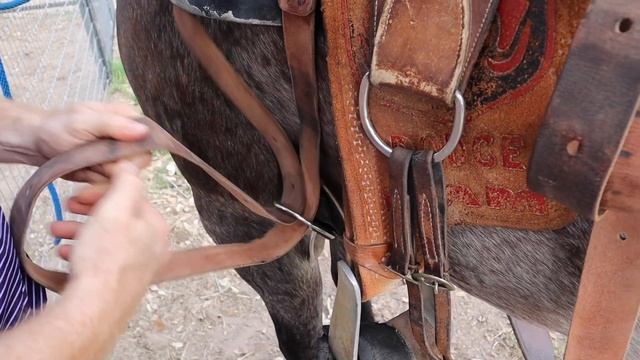 HOW TO SADDLE A HORSE // WESTERN & ENGLISH. смотреть онлайн