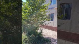 Пешком по главной улице Приозёрска Казахстан.