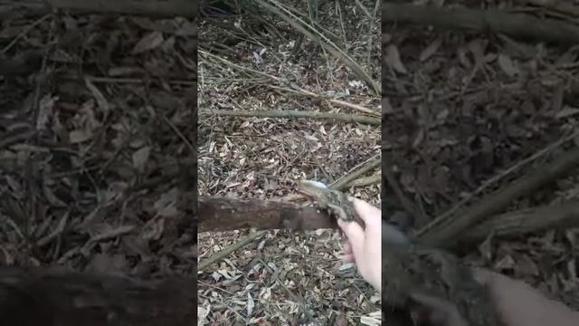 установка петли на куницу.как я это делаю 100% улов смотреть онлайн