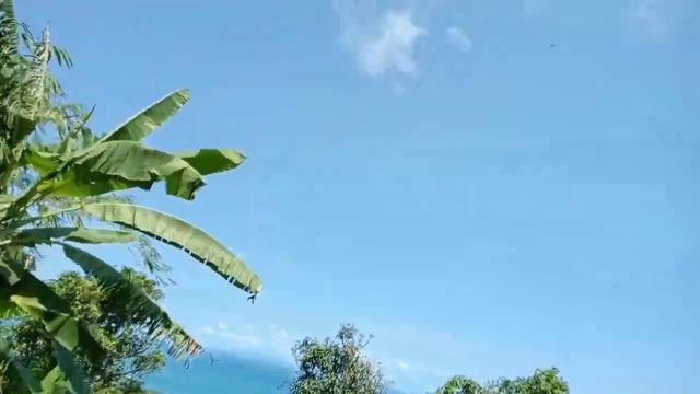 petualangan telusuri taman nasional ujungkulon Pandeglang Banten THN 2022#sudi #mampir 45 смотреть онлайн