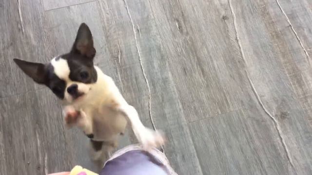 24 апреля 2018 г. смотреть онлайн