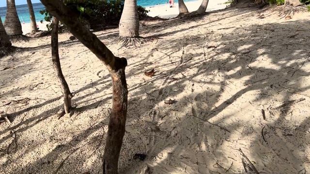 Beautiful flamenco beach of Puerto Rico смотреть онлайн