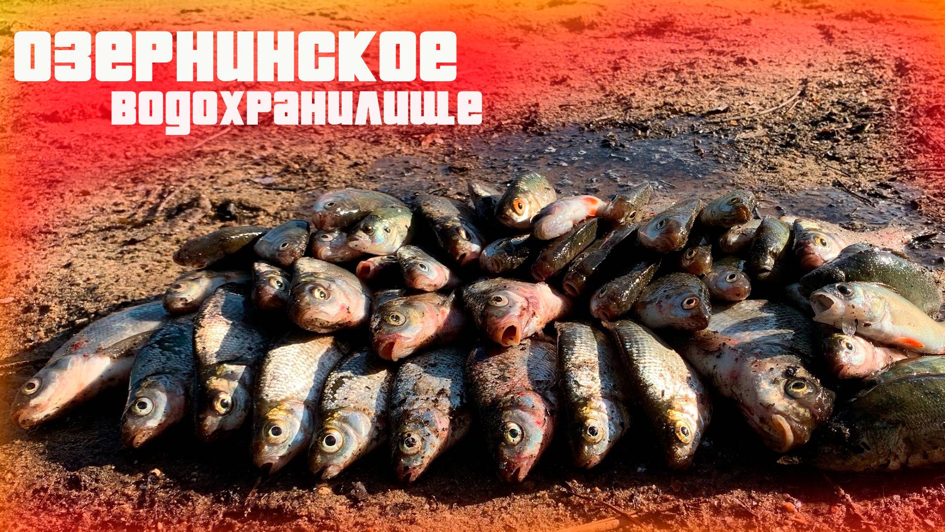 Озернинское водохранилище, Рыбалка на фидер. Как поймать рыбу когда не клюет ))